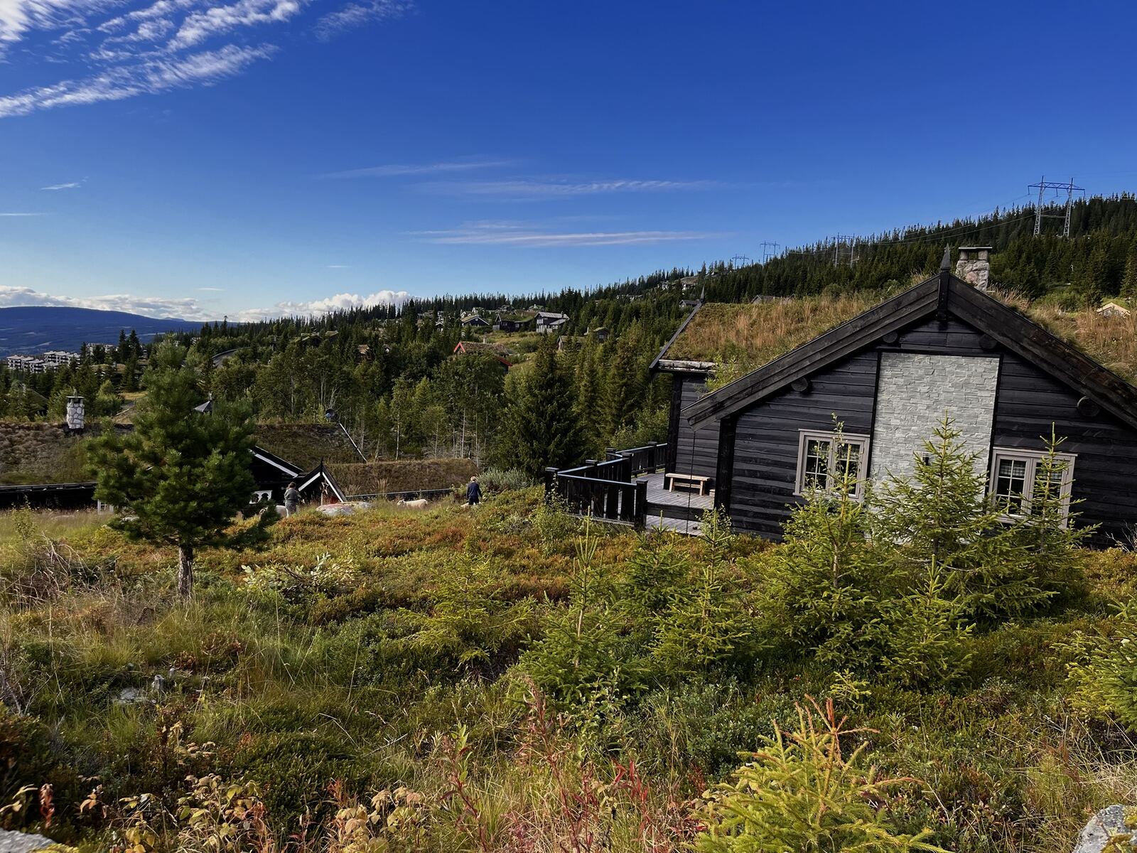 Hytta med torvtak og terrasse om sensommeren, utsikt over dalen